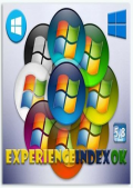 ExperienceIndexOK 4.01 Portable (x86-x64) (2022) Multi/Rus