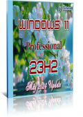 Windows 11 Professional 22631.3668 by Tatata (x64) (2024) Rus