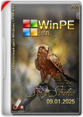 WinPE 11-10-8 Sergei Strelec (x86/x64/Native x86) (09.01.2025) Rus